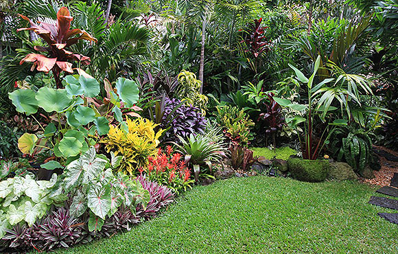 Cairns landscaping